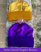 LRE-Satin-Lined-Chapter-Beanies