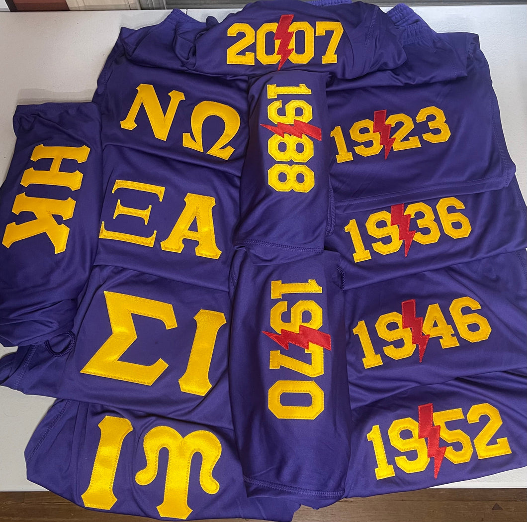 Pre-Order: [Purple] Embroidered Chapter Shorts