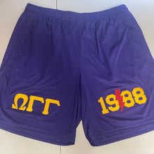 Load image into Gallery viewer, Pre-Order: [Purple] Embroidered Chapter Shorts
